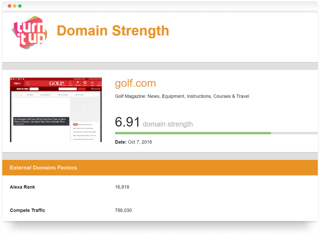 domain strength SEO report